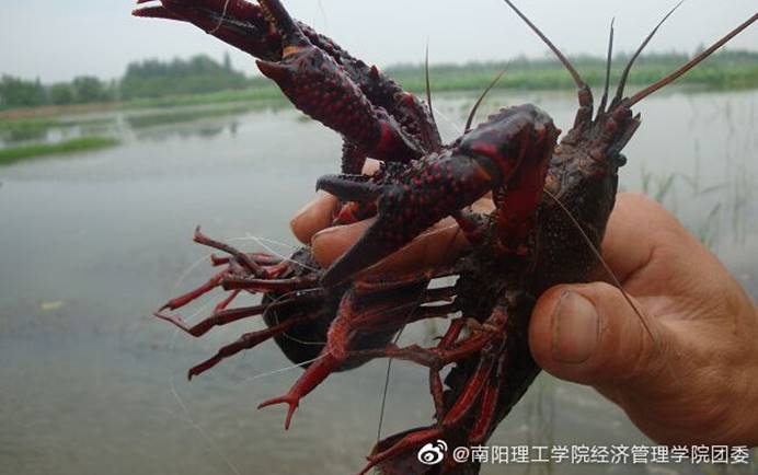 EF6AE932844077E8B6B7C3A223056342